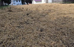 309 S 10th, Coshocton, OH 43812