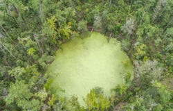 8TH TERR, Live Oak, FL 32060