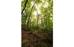 TBD Audrey Lane, Montvale, VA 24122