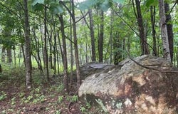 Cherry Hill Street, Mill Spring, NC 28756