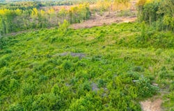 CO RD 69, Guin, AL 35563