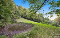 241 Standing Rock Cove, Clyde, NC 28721