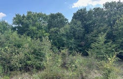 RS Private Road 6372, Alba, TX 75410