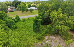 BREEZY POINT Road, Melrose, FL 32666