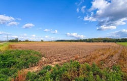 33070 Wellwood Rd., West Mansfield, OH 43344