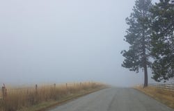 NNA Hoo Doo Loop Rd, Oldtown, ID 83822