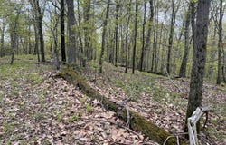 Cold Spring Road, Milan, NY 12514