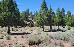 Lake Shore Dr., Weed, CA 96094
