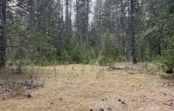 410 Gratten Flat Rd, Trinity Center, CA 96091