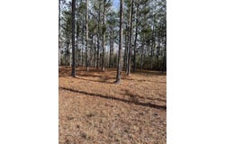 Harbor Rd lot: 77, Andalusia, AL 36421