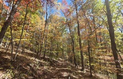 Iris Lane, Peterstown, WV 24963