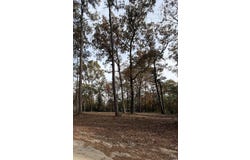 282 Pineneedle Circle, Johnsonville, SC 29555