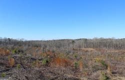57+/- AC Victory Road, Franklin, GA 30217