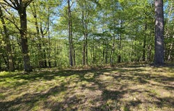 Norris View Lane, LaFollette, TN 37766