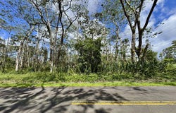 KAUAI RD, Pahoa, HI 96778