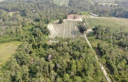 Mills Ln. Tract A, Pearson, GA 31642