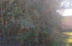 W Itawamba Street lot: 588, Bay Saint Louis, MS 39520