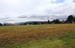 16th St, Alpine, TX 79830