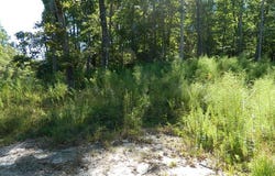 3036 Bennett Siler City Road, Bennett, NC 27208