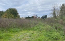 3028 Alliance Road, Arcata, CA 95521