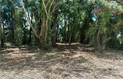NE 48TH Street, WILLISTON, FL 32696