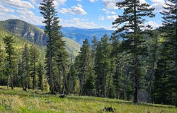 4 Tract Garnet Range, Drummond, MT 59832