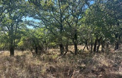 436 Greenbriar Drive, May, TX 76857