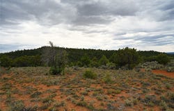 NM SR 112, Tierra Amarilla, NM 87575