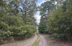 8393 Hwy 254 E, Dennard, AR 72629