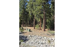762 Blacktail Ridge, Portola, CA 96122
