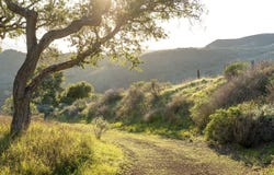 Cougar Ridge Road, BUELLTON, CA 93427