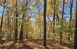 Confederate Drive, Clayton, GA 30525