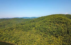 Powell Ridge Road, Speedwell, TN 37870