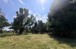 Little River 144, Ashdown, AR 71822-0000