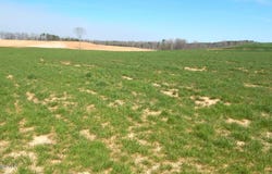 8 Graysport Crossing Road lot: 8, Gore Springs, MS 38929