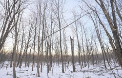 Columbine Circle lot: 124, Terra Alta, WV 26764