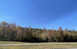 HIGHWAY 75 lot: 4, ONEONTA, AL 35121