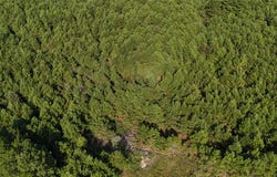 County Road 3121, Long Branch, TX 75669