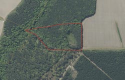 141 Tall Cotton Road, Murfreesboro, NC 27855