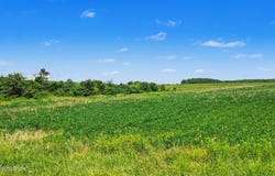 Coffman Rd, Borden, IN 47106