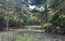 Hensley, PortOrford, OR 97465