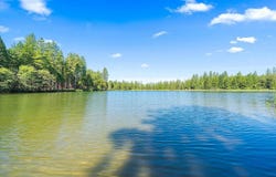 31300 Lake Ridge Drive, Shingletown, CA 96088
