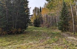 Deer River Line, Littlefork, MN 56653