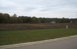 0000 Birch Meadows Lane, Handy Township, MI 48836