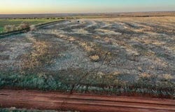 TX-86, Turkey, TX 79261