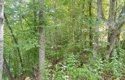 Fox Layre Rd lot: 9, Franklin, NC 28734