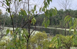 CR 2339, Marietta, TX 75566