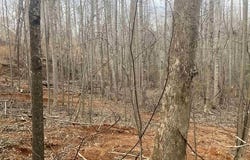 159 Rockingham Road, Duncan, SC 29334