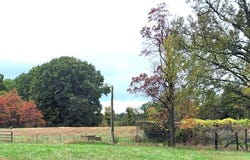 Hawknest Trail, Long Lane, MO 65590