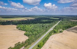 HOUGH FARM RD, Quincy, FL 32351